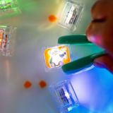 GLOPALS CUBOS LUZ ZOO