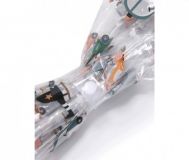 PARAGUAS TRANSPARENTE CITY CARS